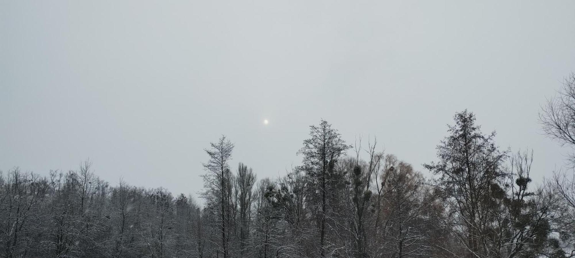 Шафран 호텔 Krasnaya Slobodka 외부 사진